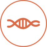 Icono de una cadena de ADN, símbolo que representa en enfoque científico de la clínica de nutrición en Asturias de Mónica Rodríguez